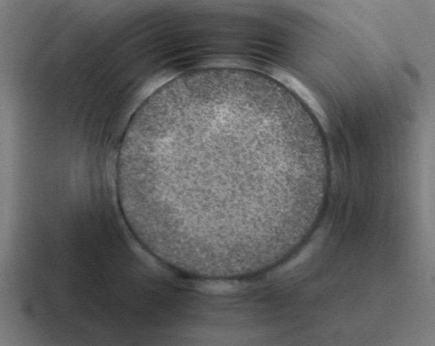 X0000116001049200912312110