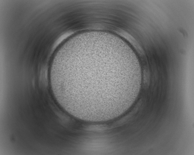 X0000116001078200912312109