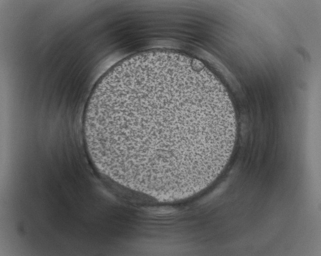 X0000116001129200912312109