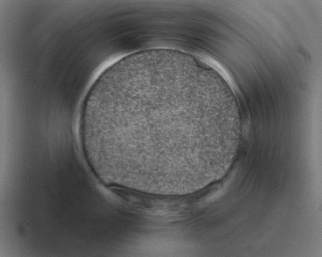 X0000116001149200912312109