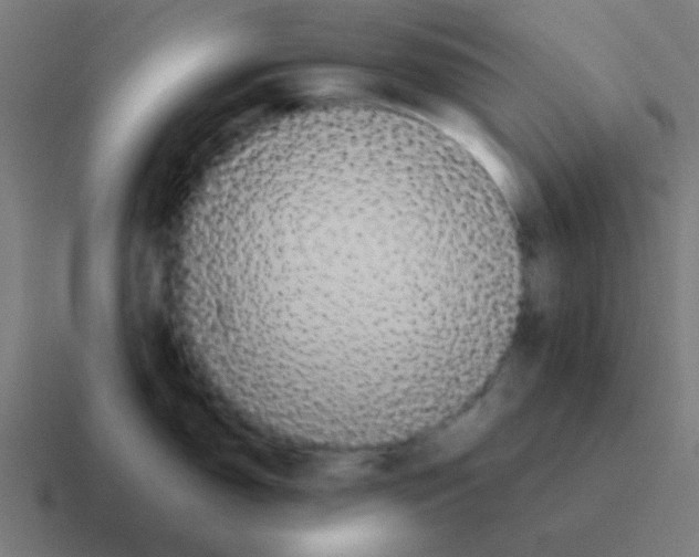 X0000116001150200912312109