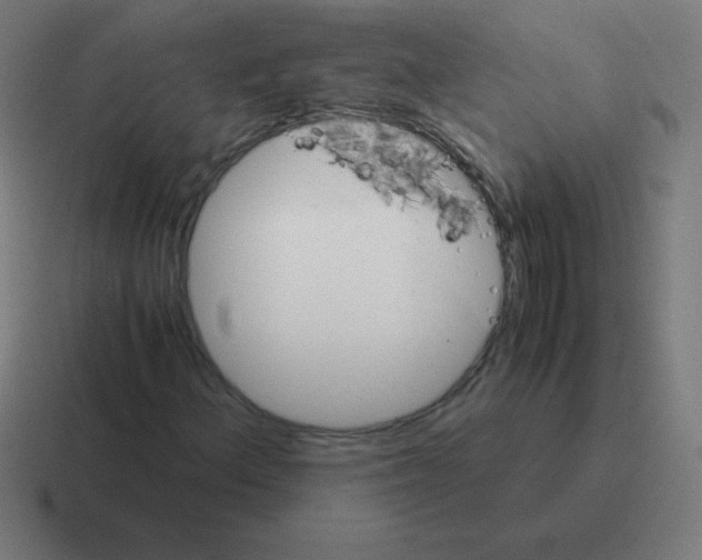 X0000116001156200912312108