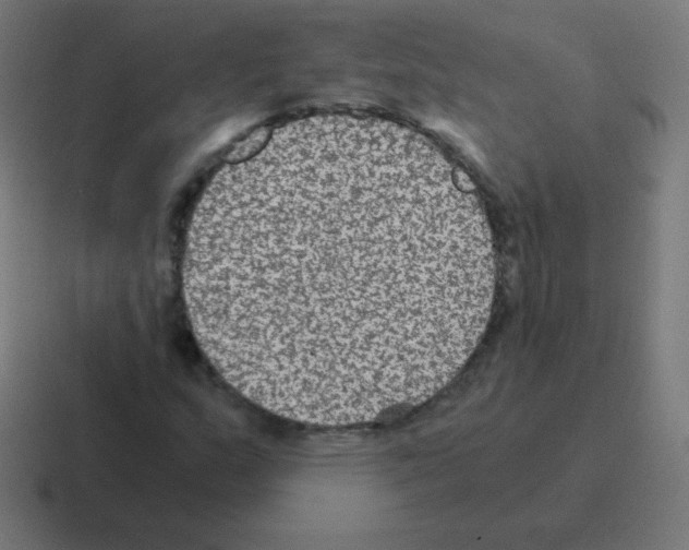 X0000116001159200912312108