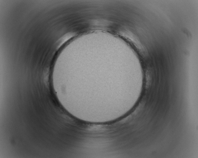 X0000116001162200912312108