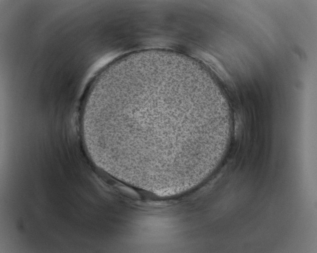 X0000116001164200912312108