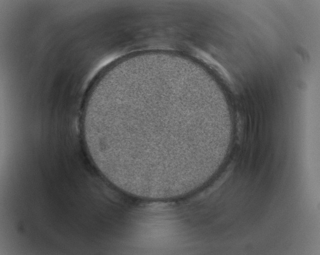 X0000116001166200912312108