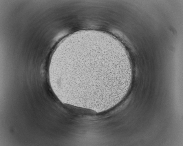 X0000116001210200912312107