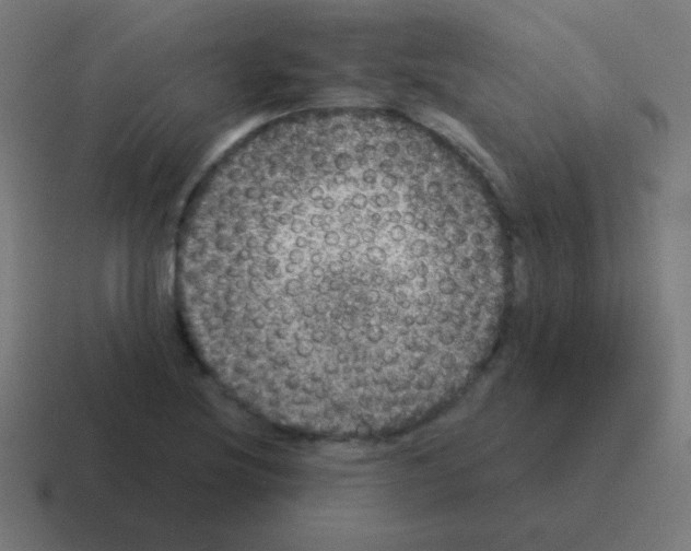 X0000116001220200912312108