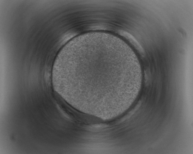 X0000116001225200912312108