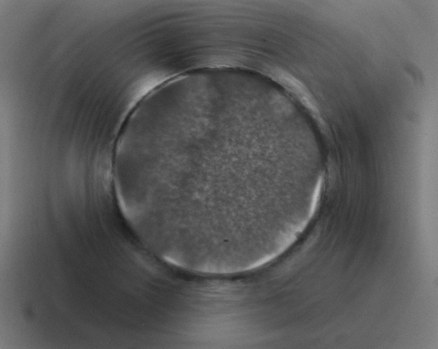 X0000116001226200912312108