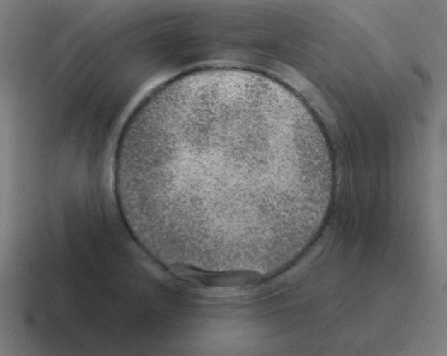 X0000116001232200912312108