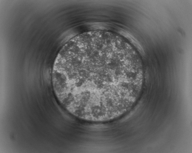 X0000116001233200912312108
