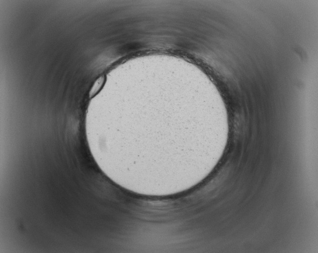 X0000116001257200912312107