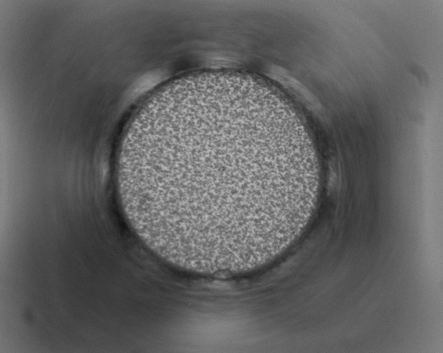 X0000116001261200912312107
