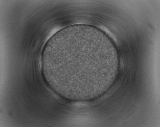 X0000116001274200912312107