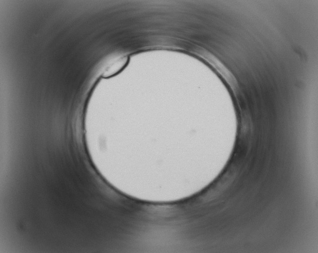X0000116001293200912312107
