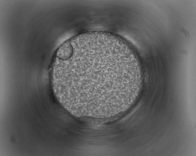 X0000116001309200912312106