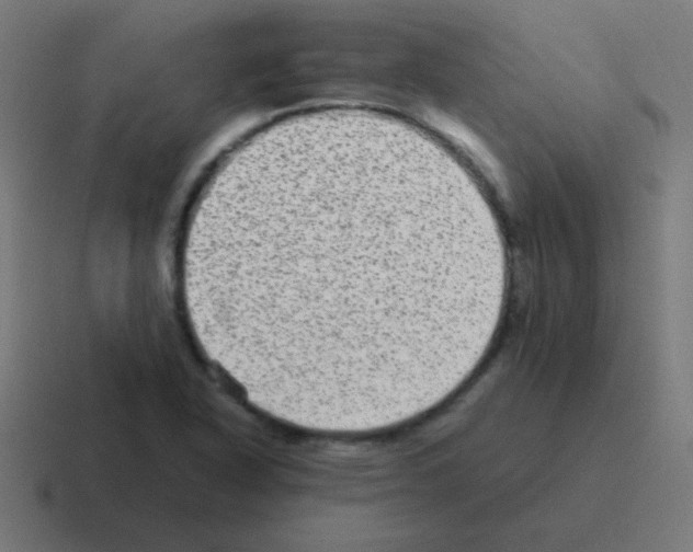 X0000116001318200912312106