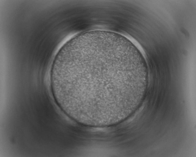X0000116001341200912312107