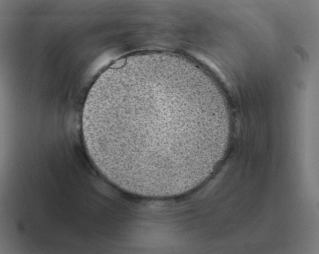 X0000116001355200912312106