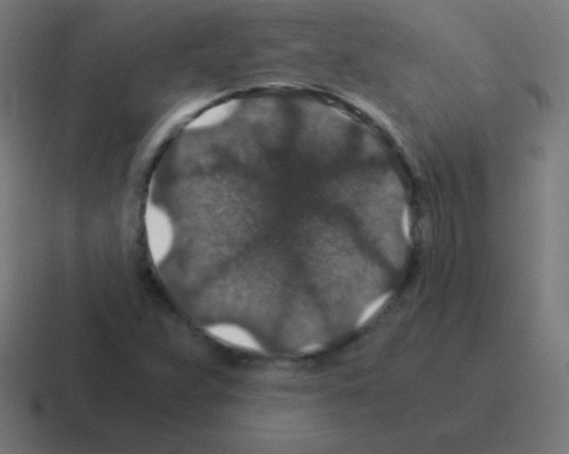 X0000116001359200912312106