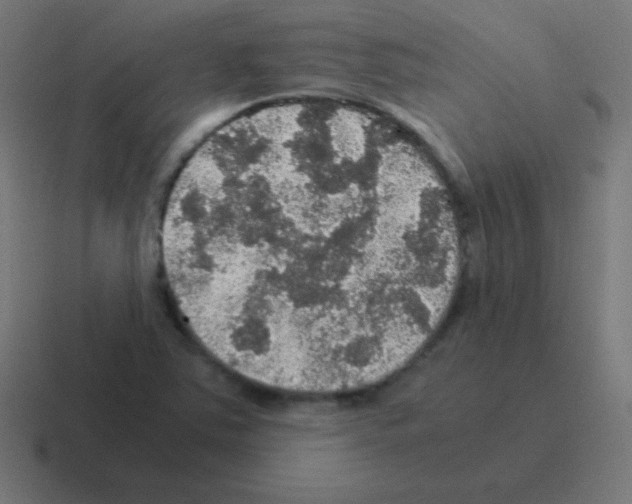 X0000116001363200912312106
