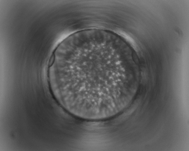 X0000116001373200912312106