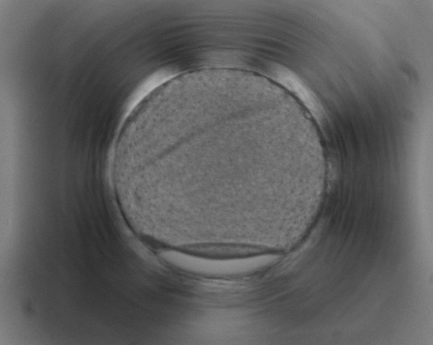 X0000116001386200912312106