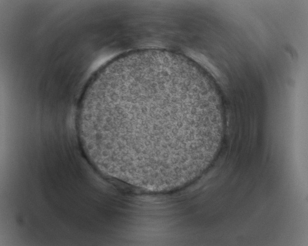 X0000116001404200912312105