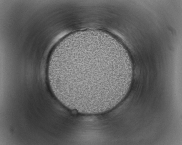 X0000116001410200912312105