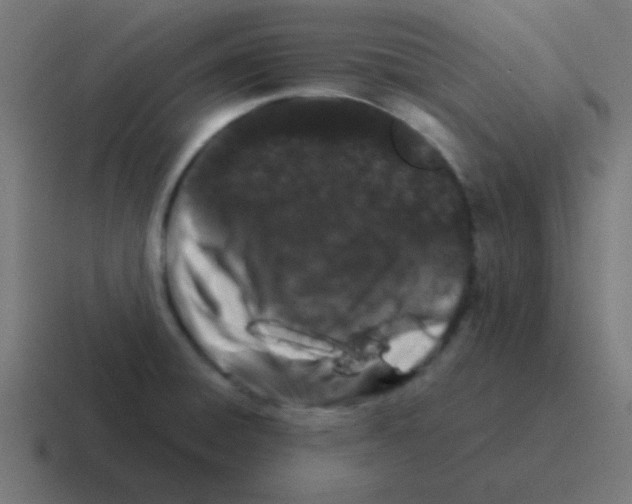 X0000116001428200912312105