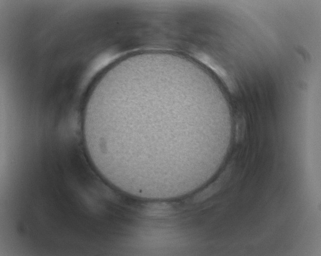 X0000116001454200912312105