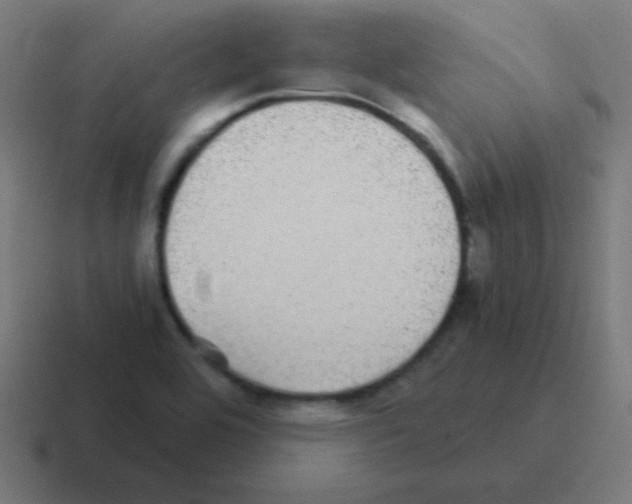 X0000116001464200912312105