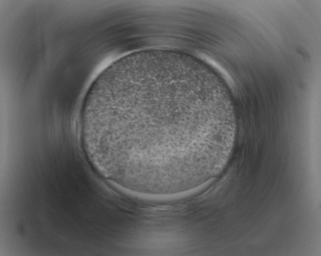 X0000116001467200912312105
