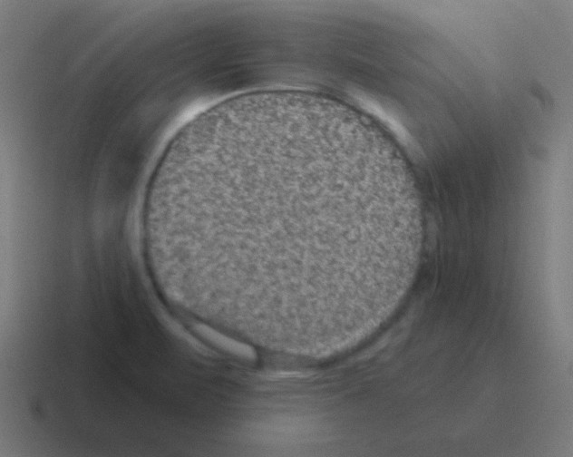 X0000116001471200912312104