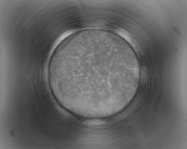X0000116001474200912312104