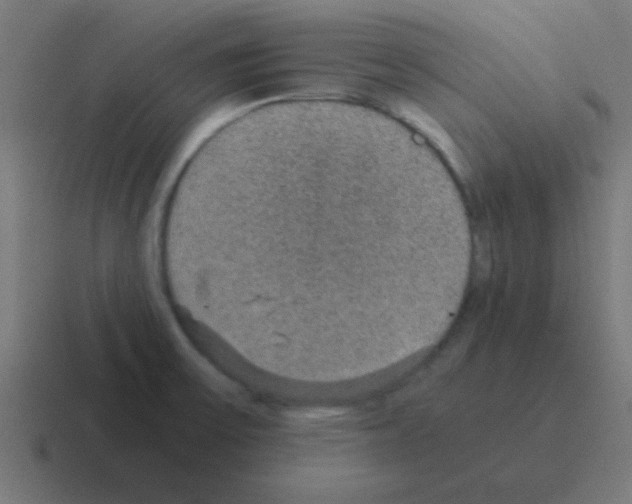 X0000116001475200912312104