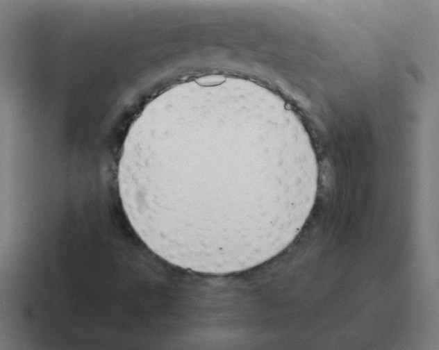 X0000116001495200912312104