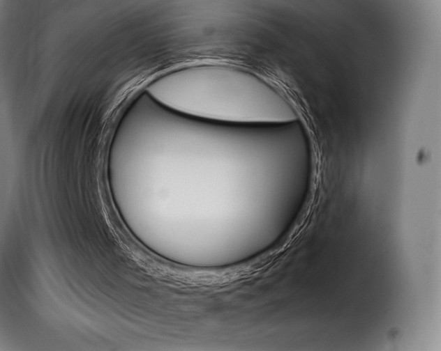 X0000116010001200911191249