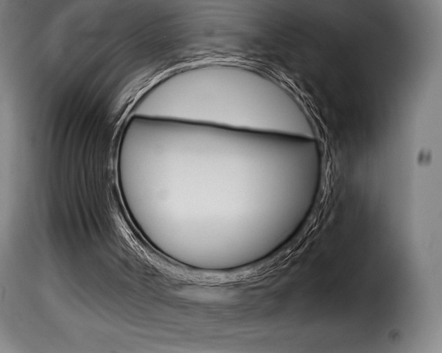 X0000116010002200911191249