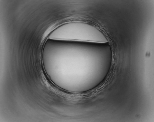 X0000116010004200911191249