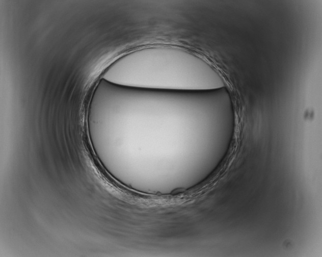 X0000116010005200911191249