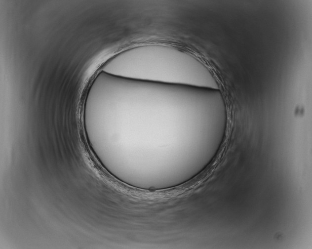 X0000116010006200911191249