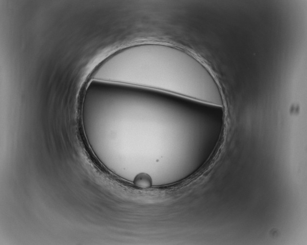 X0000116010008200911191249