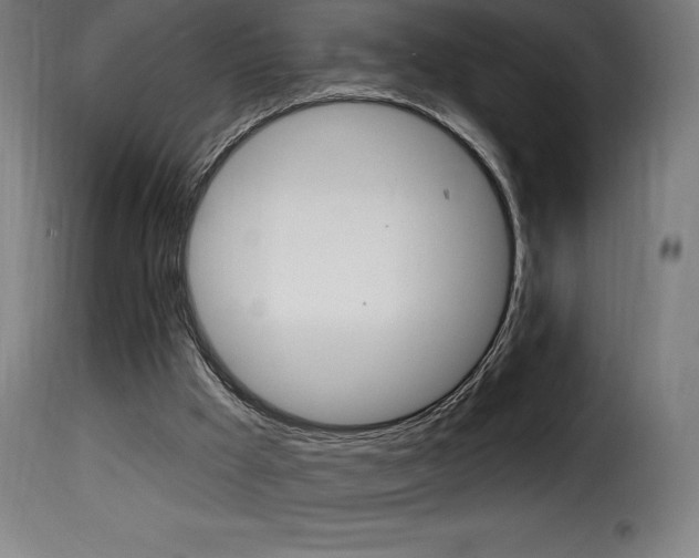 X0000116010009200911191249