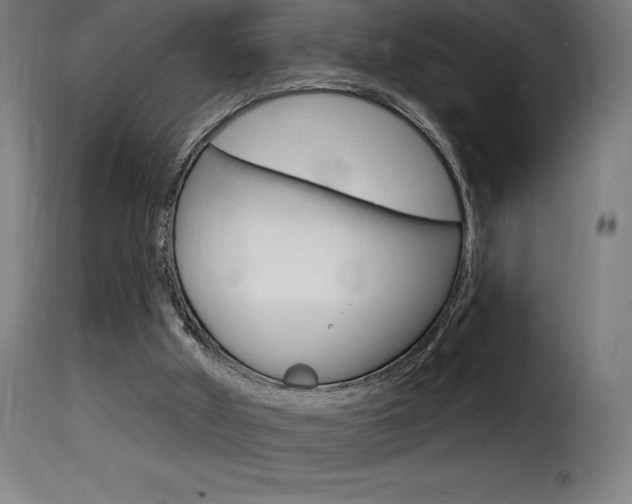 X0000116010010200911191249