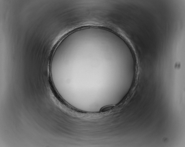 X0000116010011200911191249