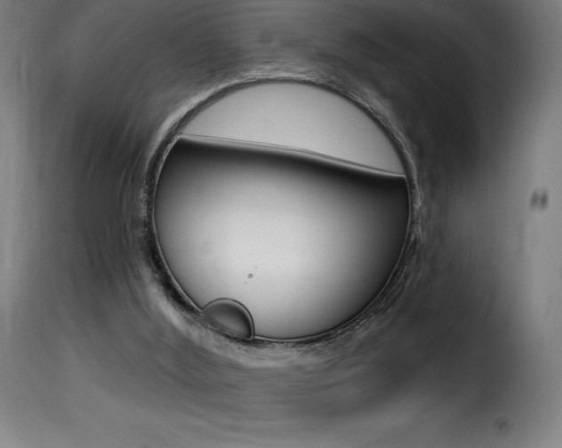 X0000116010012200911191249