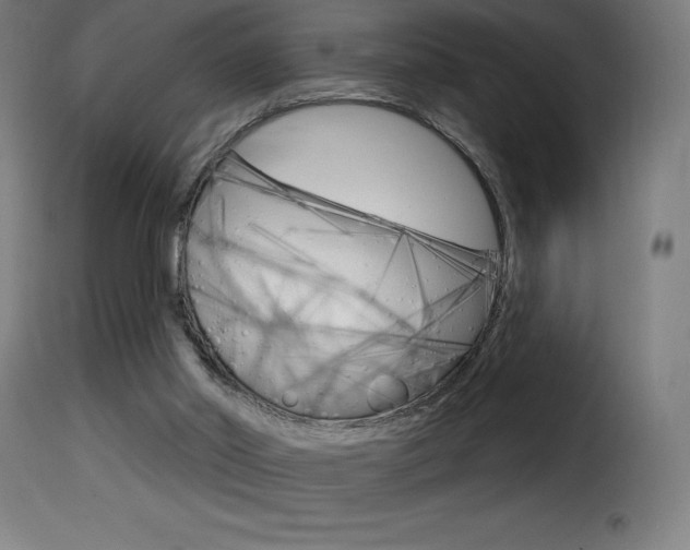 X0000116010014200911191249