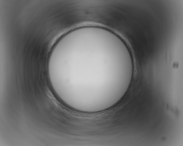 X0000116010015200911191249